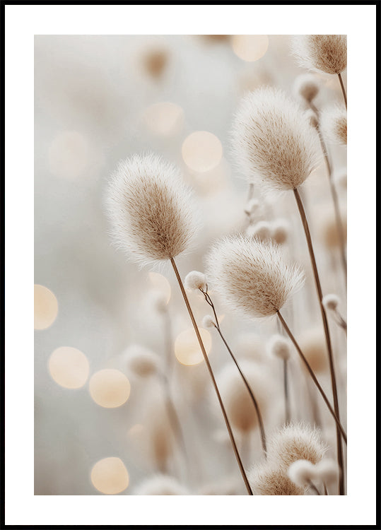 Flauschiges Pflanzenstängel-Poster - Posterbox.dk