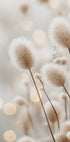 Flauschiges Pflanzenstängel-Poster - Posterbox.dk