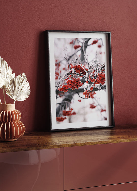 Poster mit gefrosteten roten Beeren auf Winterzweigen - Posterbox.dk