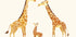 Giraffen-Familientrio in warmen Tönen Poster - Posterbox.dk