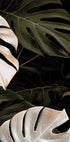 Golden Monstera №1 Poster - Posterbox.dk