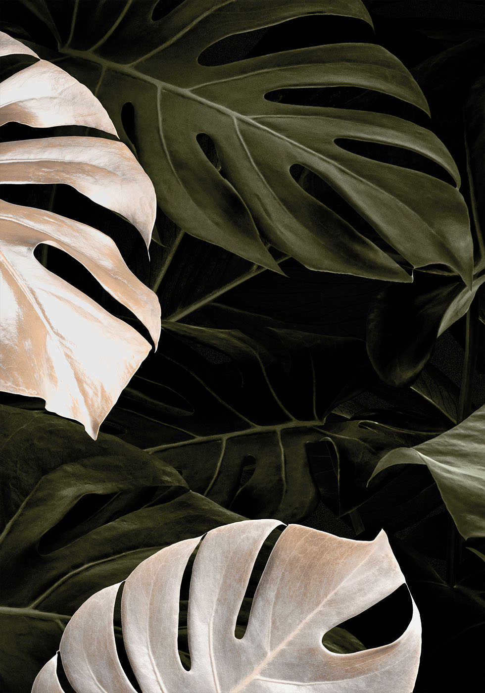 Golden Monstera №1 Poster - Posterbox.dk
