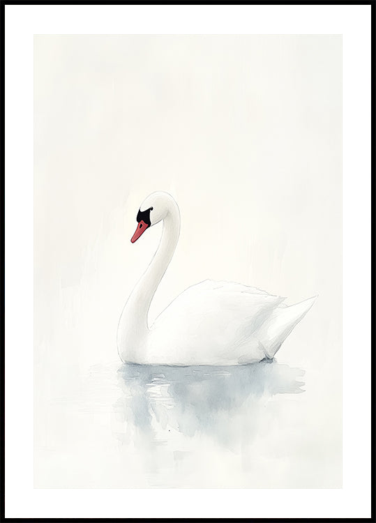 Anmutiges Schwan-Poster - Posterbox.dk
