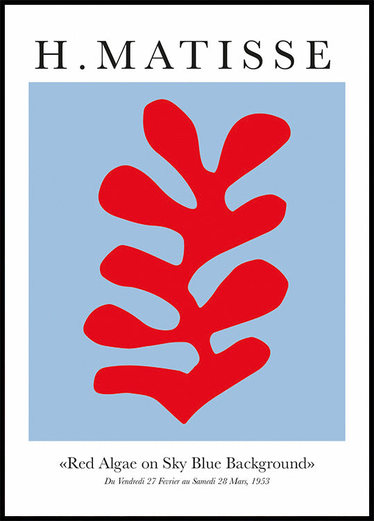 H.Matisse Rotalgen auf himmelblauem Hintergrund Poster - Posterbox.dk