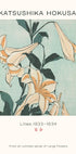 Katsushika Hokusai - Lilien Poster - Posterbox.dk