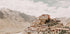 Schlüsselkloster im Himalaya Poster - Posterbox.dk
