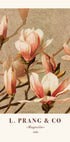 L. Prang & Co., Magnolia Poster - Posterbox.dk