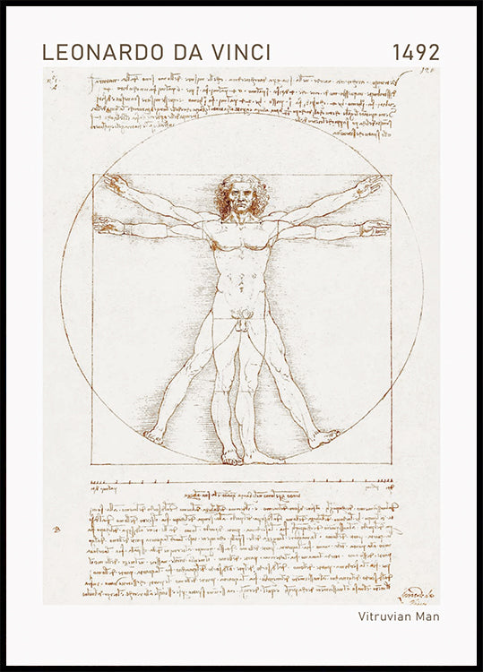 Leonardo da Vinci, Vitruvianischer Mensch Poster - Posterbox.dk