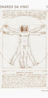 Leonardo da Vinci, Vitruvianischer Mensch Poster - Posterbox.dk