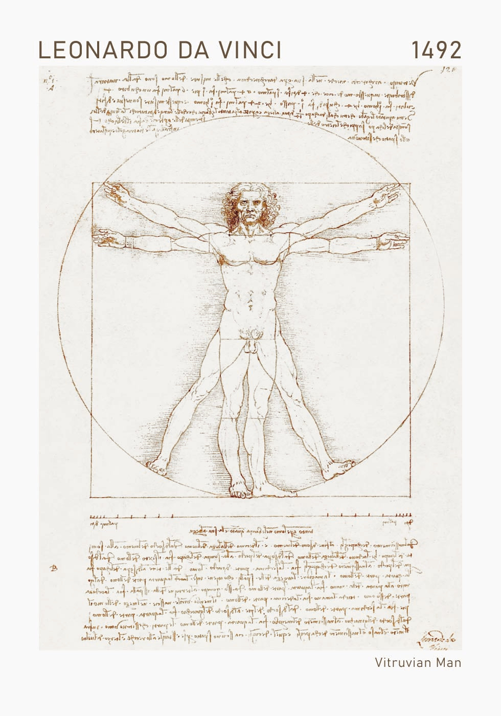 Leonardo da Vinci, Vitruvianischer Mensch Poster - Posterbox.dk