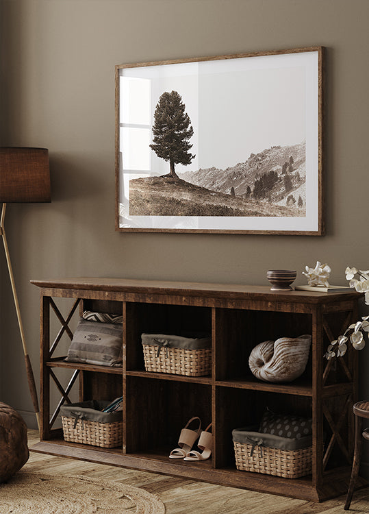 Einsame Schweizer Kiefer in den Alpen Poster - Posterbox.dk