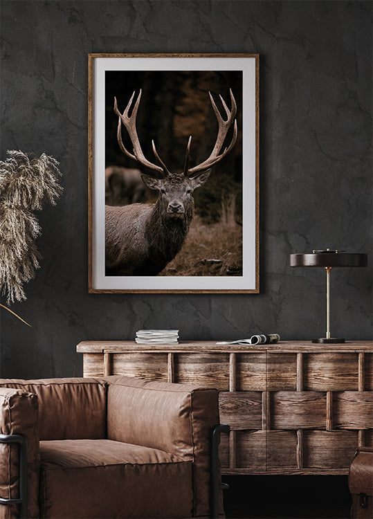 Majestätische Hirsche im Herbstwald Poster - Posterbox.dk