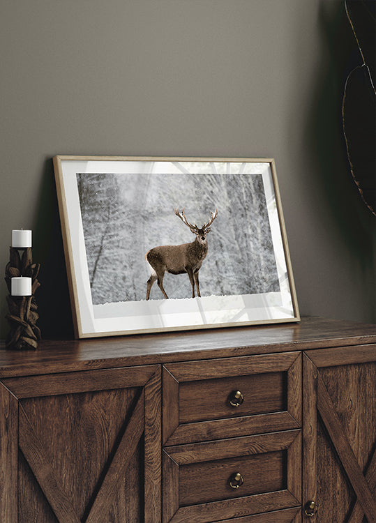 Majestätische Hirsche im verschneiten Wald Poster - Posterbox.dk