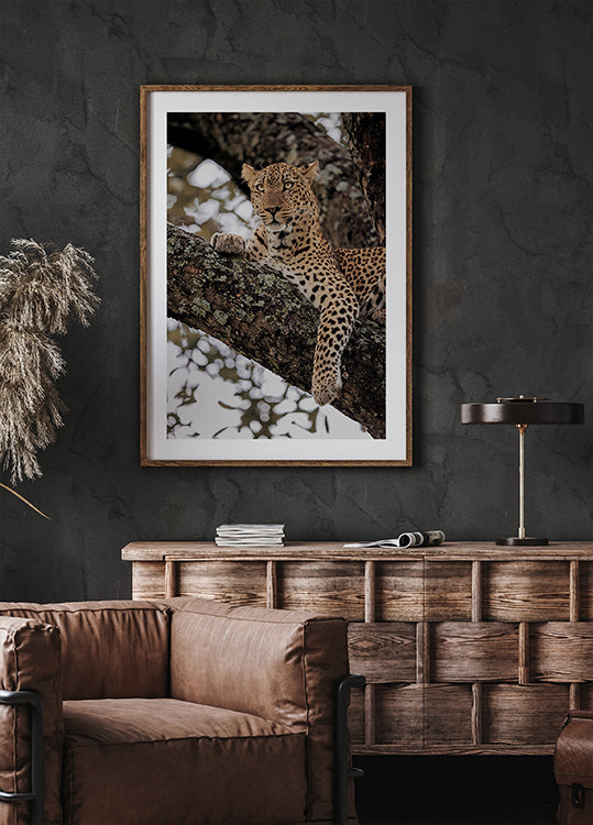 Majestätischer Leopard auf einem Ast Poster - Posterbox.dk