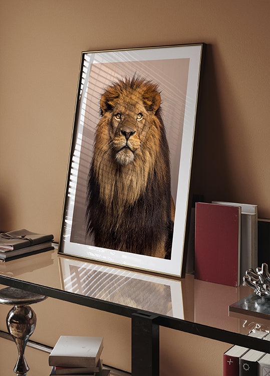 Poster „Majestätischer Löwe“ - Posterbox.dk