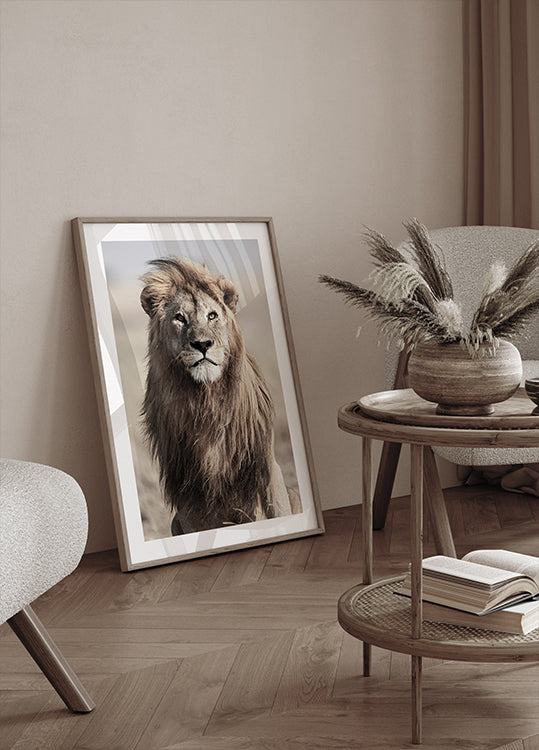 Poster „Majestätischer Löwe“ - Posterbox.dk