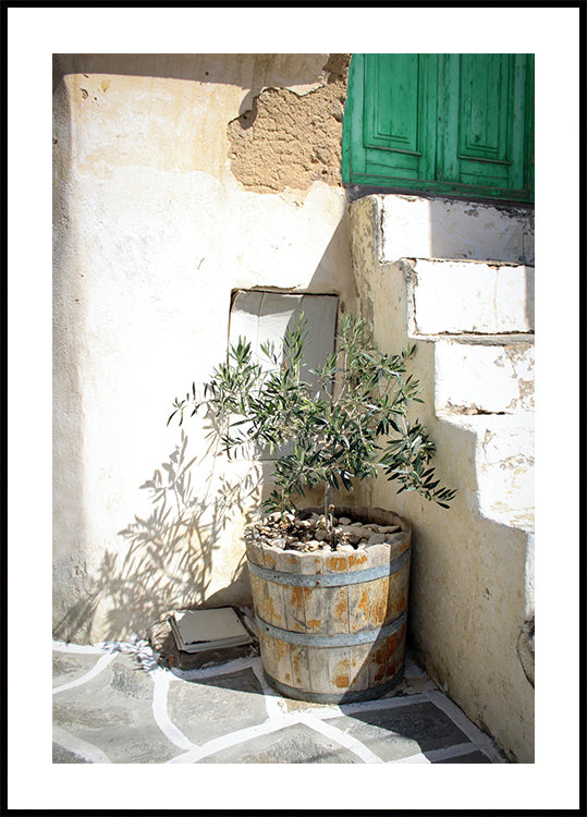 Mediterranes Olivenbaum-Eingangsposter - Posterbox.dk