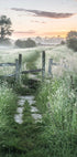 Misty Summer Dawn Poster - Posterbox.dk