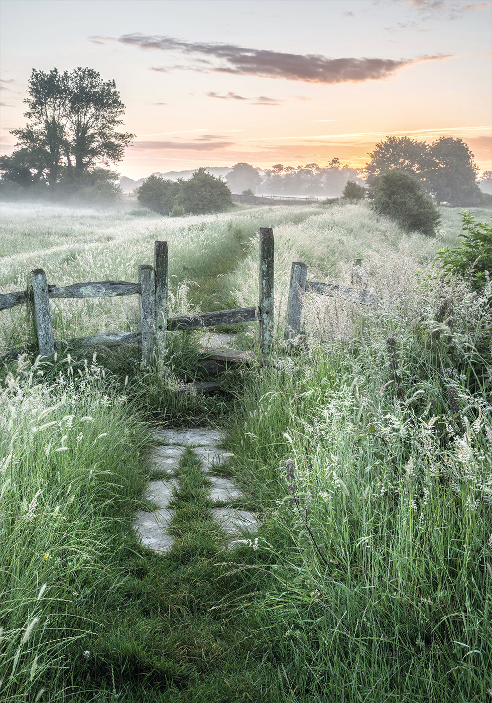 Misty Summer Dawn Poster - Posterbox.dk
