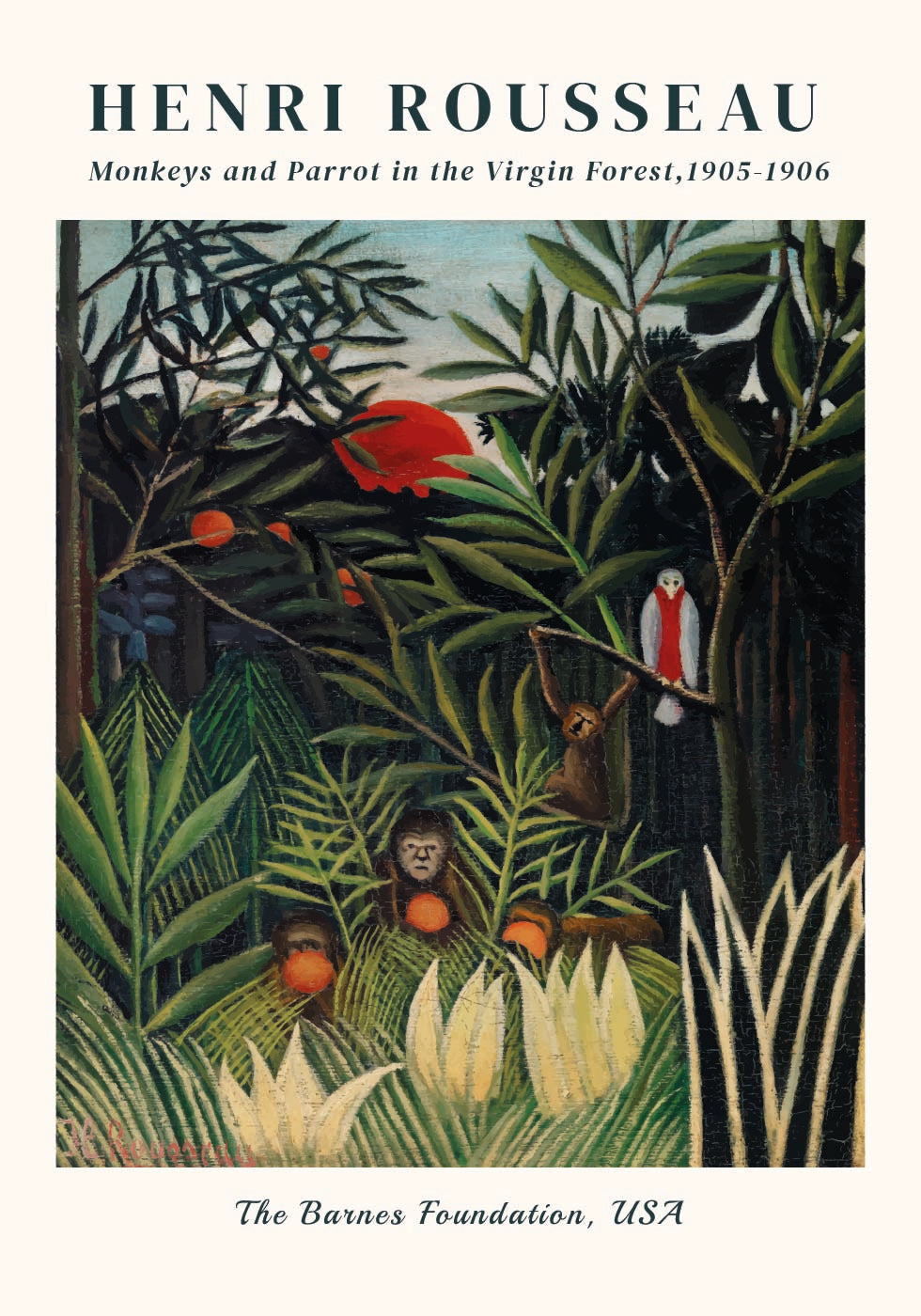 Affen und Papagei im Urwald Poster - Posterbox.dk