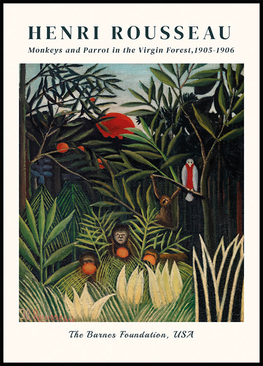 Affen und Papagei im Urwald Poster - Posterbox.dk