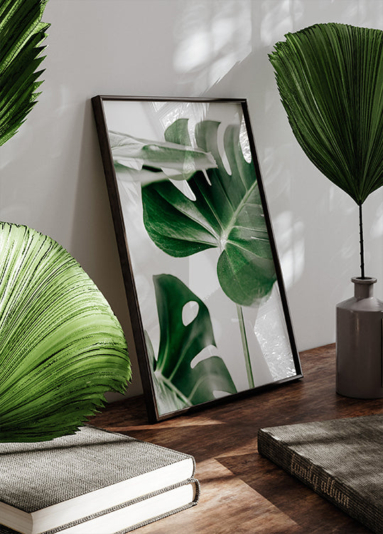 Monstera-Blätter-Poster - Posterbox.dk