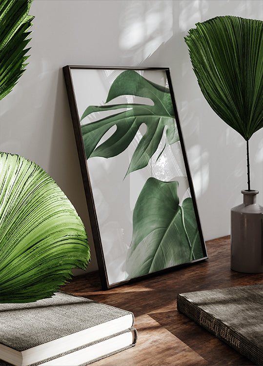 Monstera-Blätter-Poster - Posterbox.dk