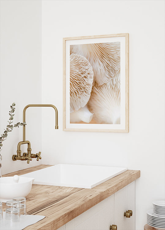 Pilze-Nahaufnahme-Poster - Posterbox.dk