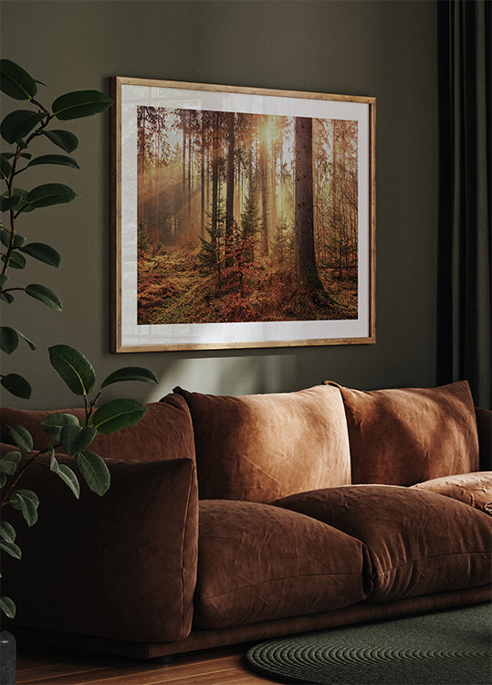 Geheimnisvolles Licht des Herbstwaldes Poster - Posterbox.dk