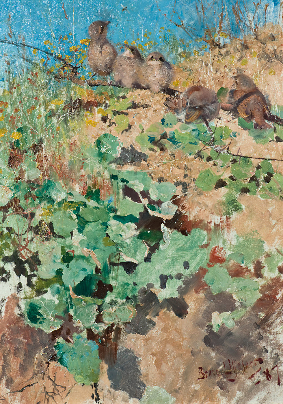 Nestlinge des Neuntöter Poster - Posterbox.dk