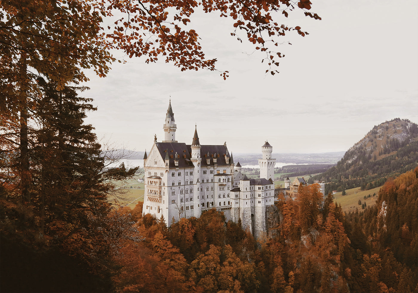 Schloss Neuschwanstein im Herbst Poster - Posterbox.dk