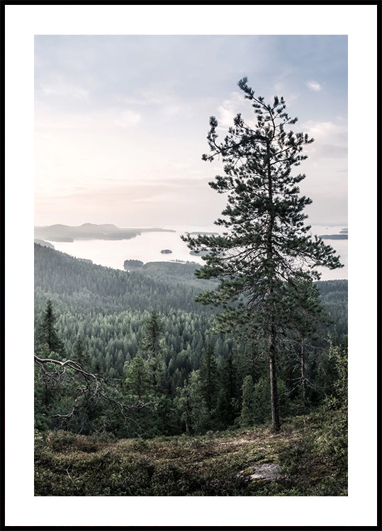 Nordisches Poster mit Wald- und Seeblick - Posterbox.dk