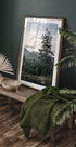 Nordisches Poster mit Wald- und Seeblick - Posterbox.dk