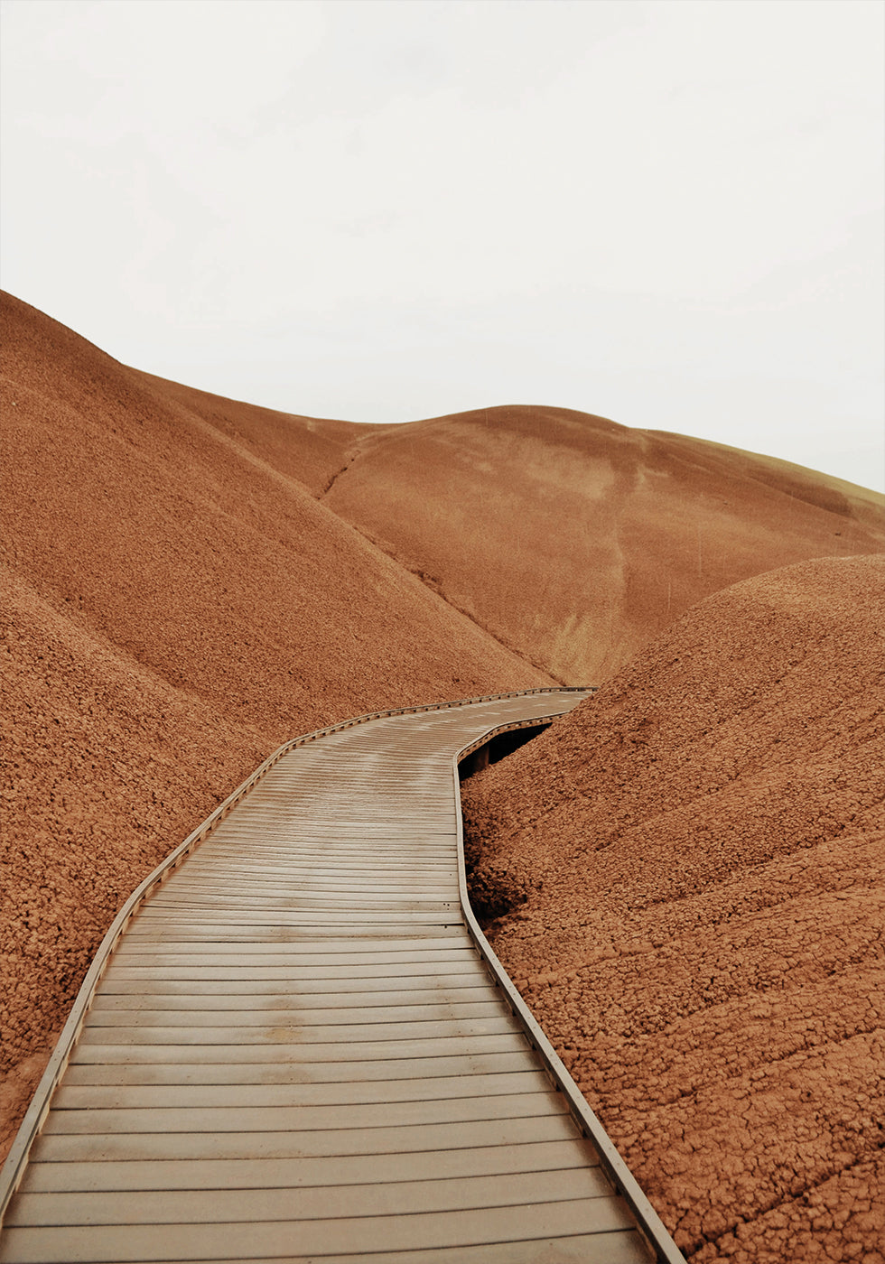Painted Hills Boardwalk-Poster - Posterbox.dk