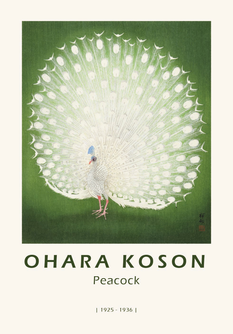 Pfau, japanischer Weißer Pfau Poster - Posterbox.dk