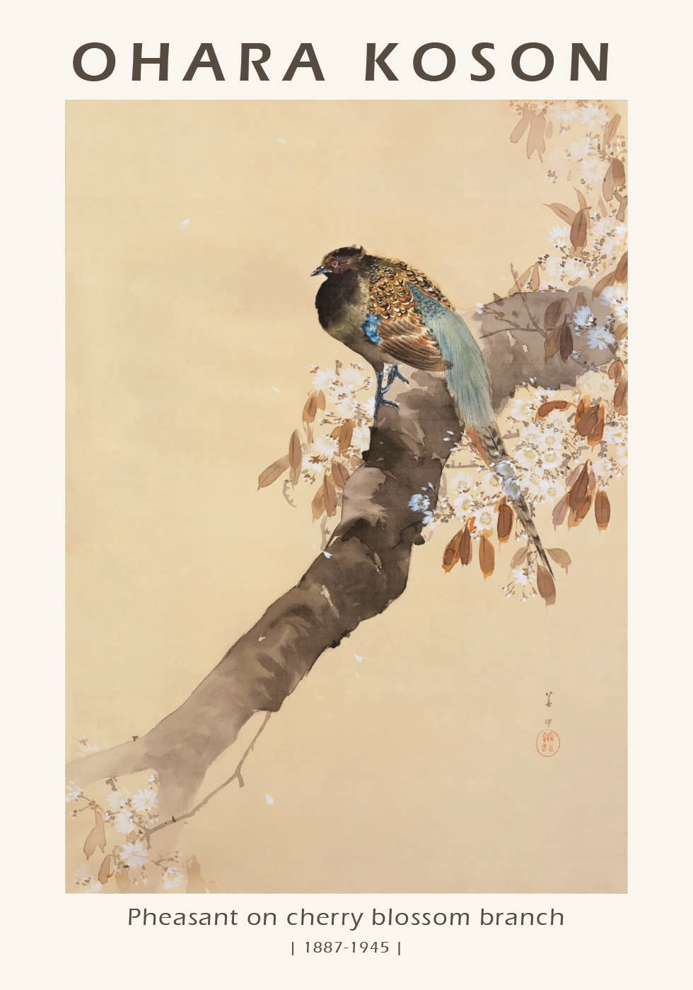 Fasan auf Kirschblütenzweig, japanischer Holzschnitt von Ohara Koson Poster - Posterbox.dk