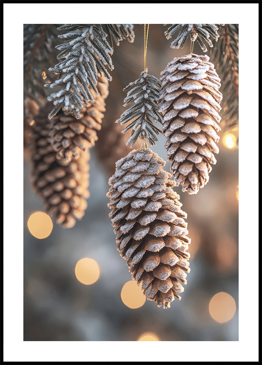 Drei Tannenzapfen hängen an einem Weihnachtsbaum