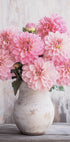 Rosa Dahlien in rustikaler Vase Poster - Posterbox.dk