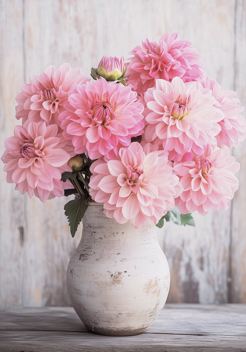 Rosa Dahlien in rustikaler Vase Poster - Posterbox.dk