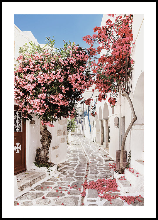 Rosa Blumenbäume in einer malerischen Gasse Poster - Posterbox.dk