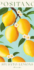 Positano-Zitronen, Zitrusfrüchte der Amalfiküste Poster - Posterbox.dk