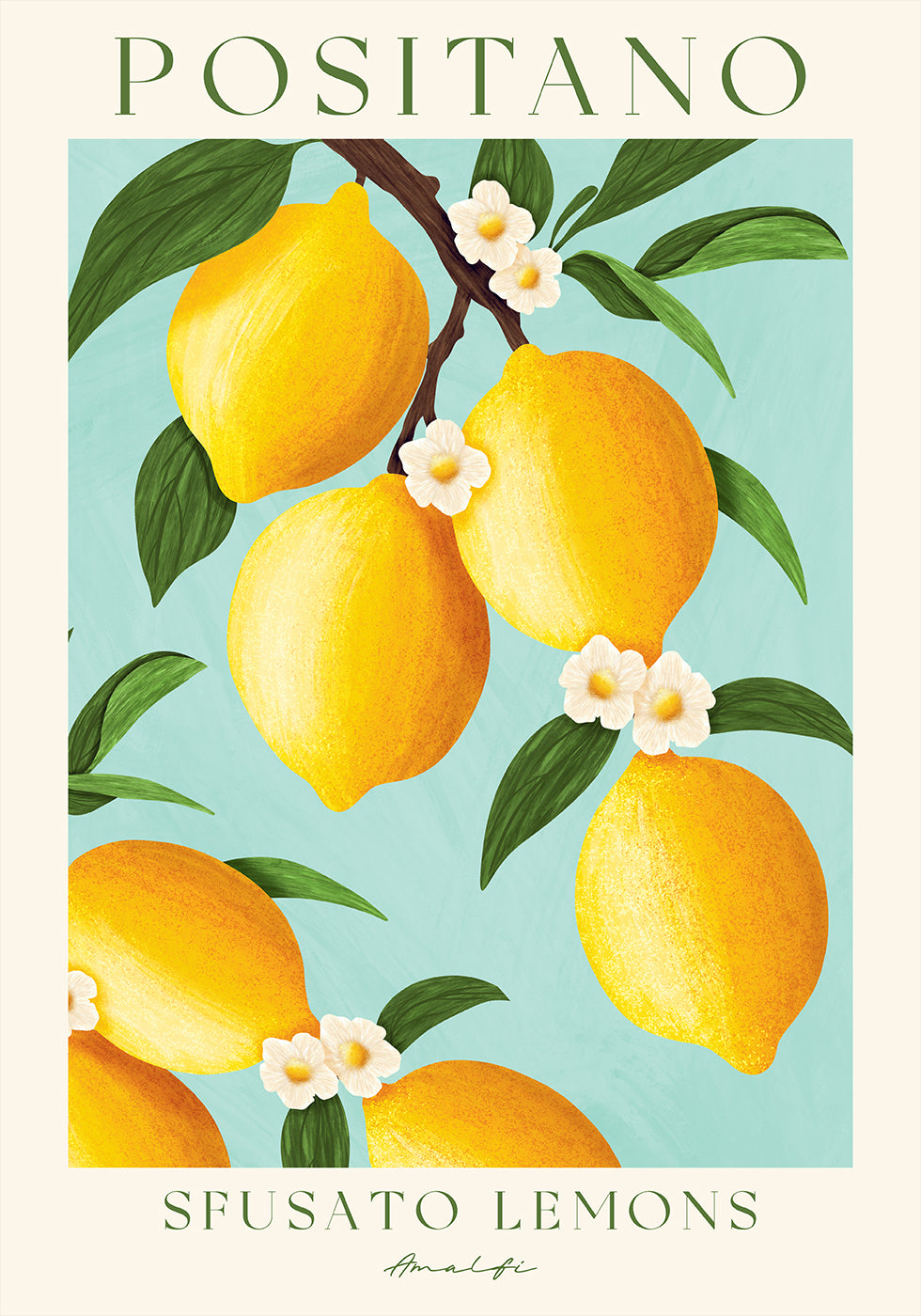 Positano-Zitronen, Zitrusfrüchte der Amalfiküste Poster - Posterbox.dk