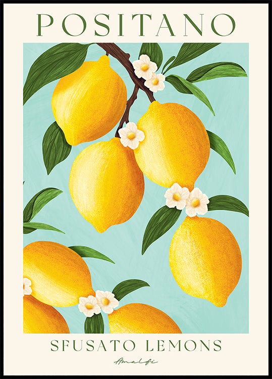 Positano-Zitronen, Zitrusfrüchte der Amalfiküste Poster - Posterbox.dk