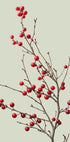 ein kleiner Baum mit roten Beeren darauf