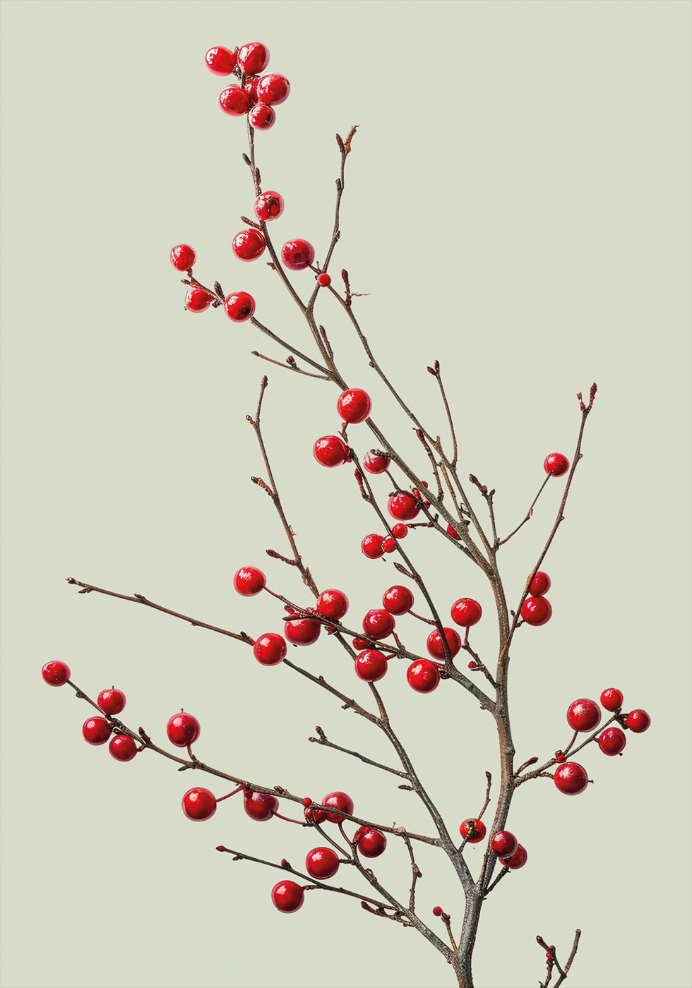 ein kleiner Baum mit roten Beeren darauf