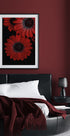 Rote Dimorphotheca-Blüten mit Wassertropfen Poster - Posterbox.dk
