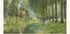 Rest Along The Stream Impressionist Forest, Alfred Sisley 1878 Poster - Posterbox.dk