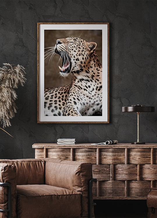 Brüllender Leopard in der Natur Poster - Posterbox.dk