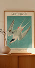 Rosenseeschwalbe von Birds of America Audubon Poster - Posterbox.dk
