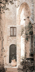 eine schmale Gasse mit einer Topfpflanze an der Seite